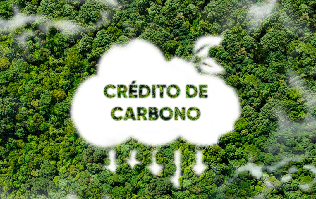 O papel da geração de créditos de carbono no Brasil e a contribuição da JJG Carbon