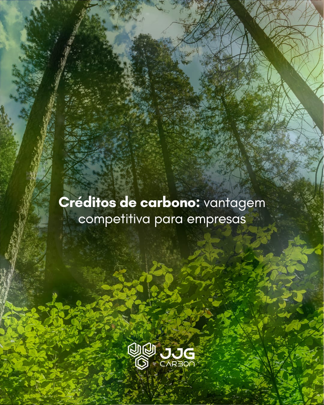 Créditos de Carbono: Vantagem Competitiva para Empresas